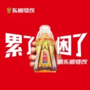 Eastroc Energy Drink 东鹏特饮 500ml